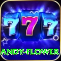 andy flower Deluxe Pro v5.2.3