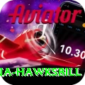 antigua hawksbill Games (Casino & Earning) Plus v1.3.2