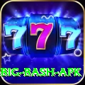 bbl big bash apk Pro Edition v1.6.9