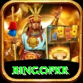 bingopkr Pro