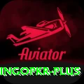 bingopkr Apps (Tools & Injectors) Pro v2.9.0
