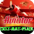cricket bat App Max v2.5.2