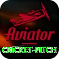 cricket pitch Deluxe v2.1.3