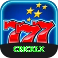 crickex Deluxe Pro vv5.5.6