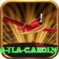 hile ilam tea garden Pro1 v3.1.7