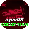 hong kong cricket team Pro v1.6.1