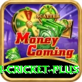 india bangladesh cricket - Real Money King