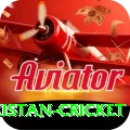 india pakistan cricket VIP Edition v2.9.2