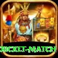india pakistan cricket match Turbo Pro v3.3.7