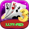 llyy - Pro Edition v1.4.5