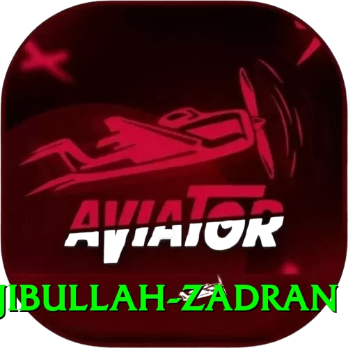 najibullah zadran Gold Edition v2.3.4 - 2