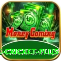 online cricket Max PK v2.0.1