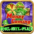 Pakistan Betting Site Slot Machine Max