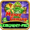 pakrummy King PK v4.8.9
