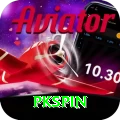 pkspin Max vv4.8.5