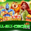 risk free bet cricket Max v3.5.7
