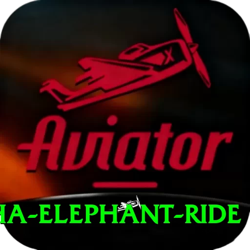 sauraha elephant ride Games (Casino & Earning) Elite v2.1.2 - 2