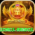 seti gorge bridge Plus Pro v4.0.6