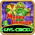 smartcric live cricket Games (Casino & Earning) VIP v3.5.0