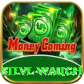 steve waugh Deluxe Pro v5.7.3