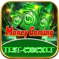 test cricket Pro Edition v1.4.3