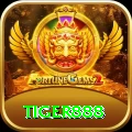 tiger888 Master Pro vv5.5.6