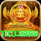 tiger888 Master Pro vv5.5.6
