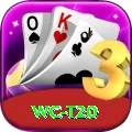 wc t20 Turbo v2.9.7