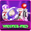 winpkr Pro Max v5.1.2